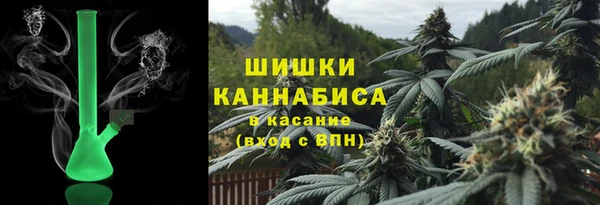 ПСИЛОЦИБИНОВЫЕ ГРИБЫ Аркадак