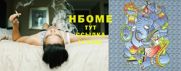 стаф Балахна