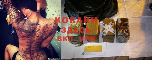 ПСИЛОЦИБИНОВЫЕ ГРИБЫ Аркадак