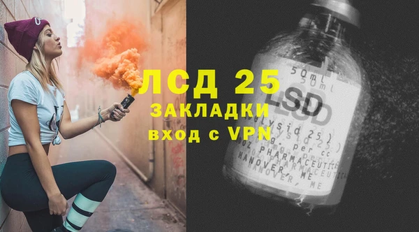 ПСИЛОЦИБИНОВЫЕ ГРИБЫ Аркадак