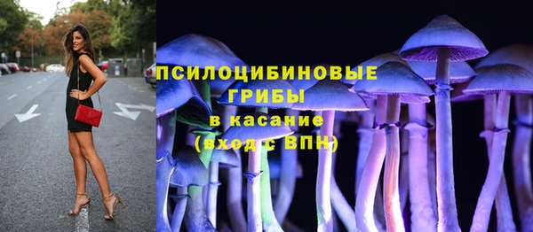 ПСИЛОЦИБИНОВЫЕ ГРИБЫ Аркадак