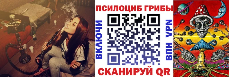 Псилоцибиновые грибы Psilocybe сколько стоит Купино